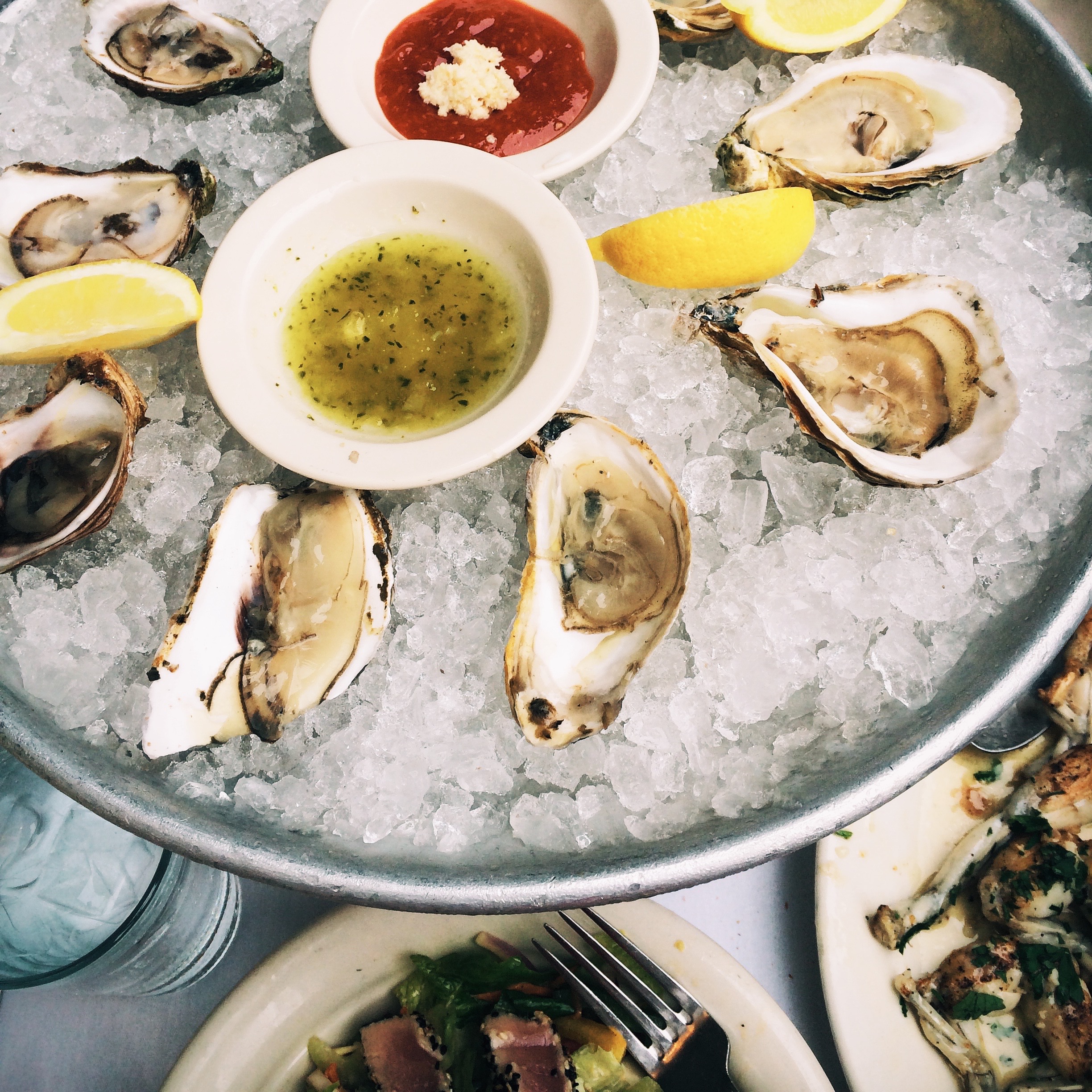 gibsons oysters